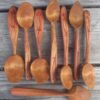 Spoon Carving, an Introduction to Working with Greenwood - Image 11