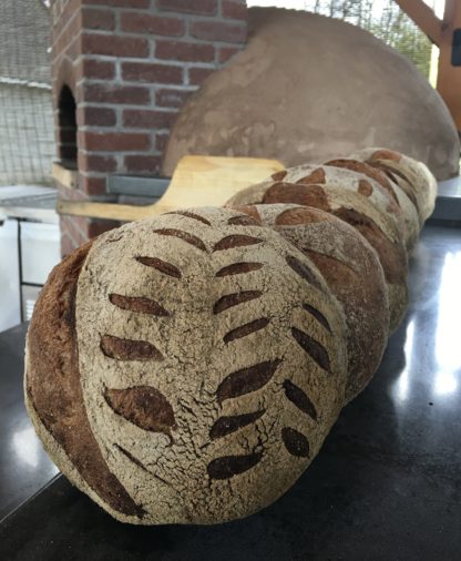 The Basics of Whole Grain Sourdough