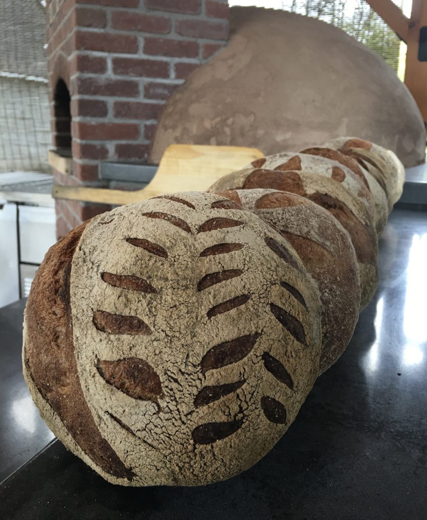 The Basics of Whole Grain Sourdough