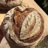 The Basics of Whole Grain Sourdough - Image 2