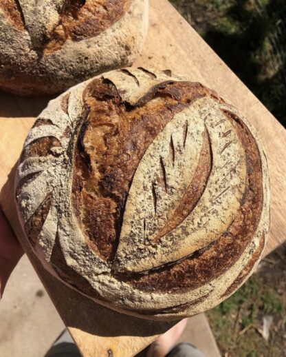The Basics of Whole Grain Sourdough - Image 2
