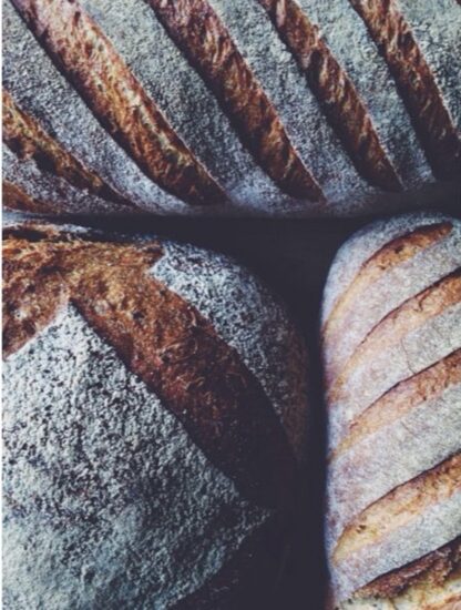 The Basics of Whole Grain Sourdough - Image 4