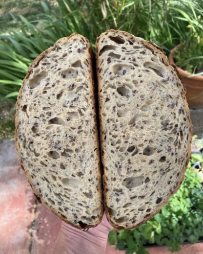 The Basics of Whole Grain Sourdough - Image 5