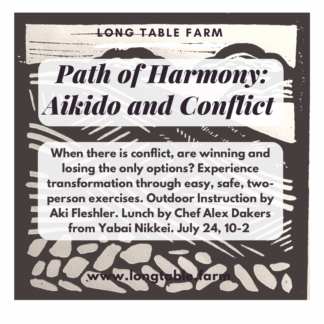 Path of Harmony: Aikido and Conflict