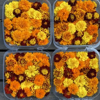 Box of Marigolds