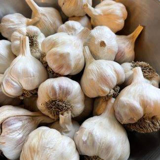 Garlic (/lb)