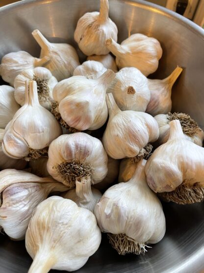 Garlic (/lb)