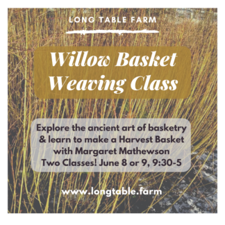 Willow Basket Weaving Class