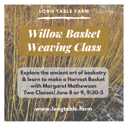 Willow Basket Weaving Class
