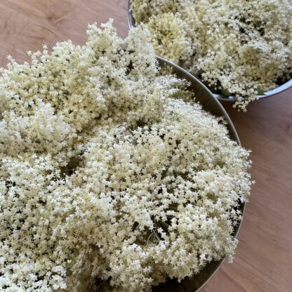 Elderflower - Image 2