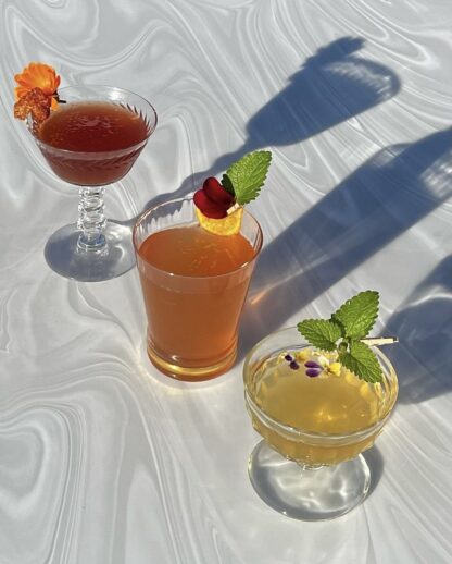 Botanical Mixology - Image 6