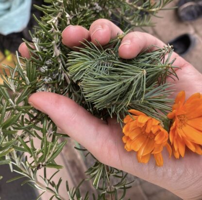 Botanical Mixology - Image 2