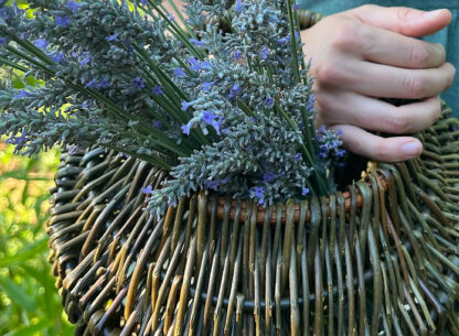 Basketry: Foraging Basket with Leather Strap - Image 10