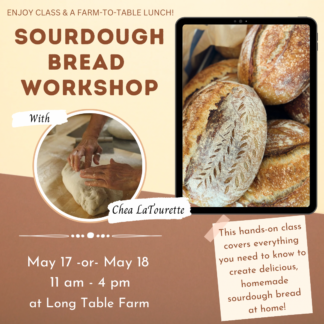 Sourdough Bread Workshop with Chea LaTourette