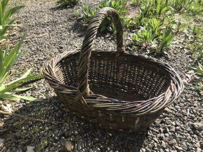 Willow Gathering Basket Class