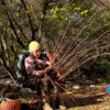 Willow Pack Basket - Image 8