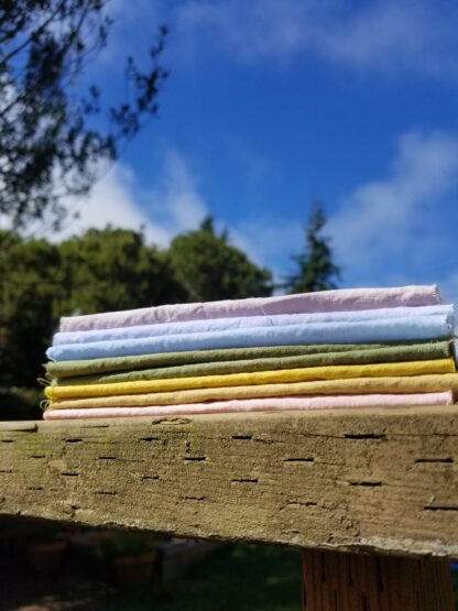 Natural Plant Dye Class - Image 6