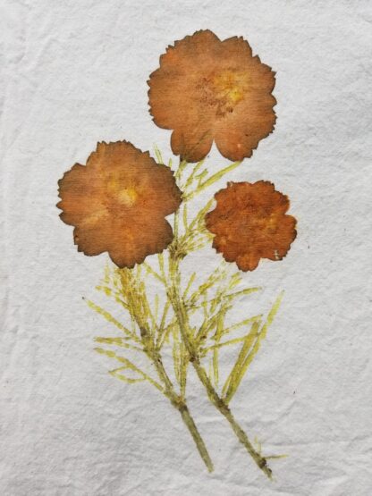 Natural Plant Dye Class - Image 7