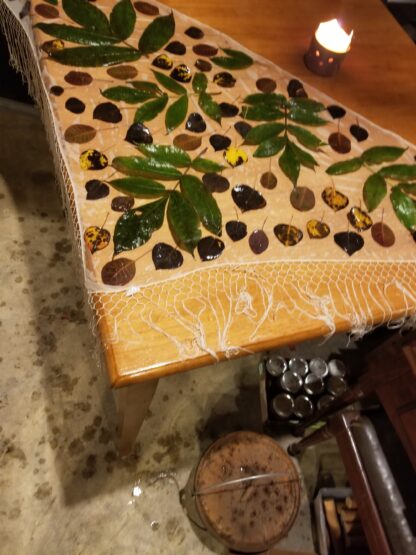 Natural Plant Dye Class - Image 8