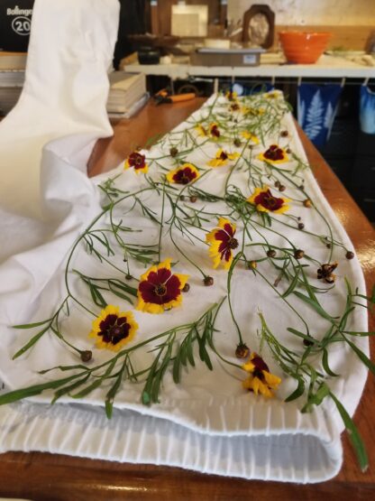 Natural Plant Dye Class - Image 10