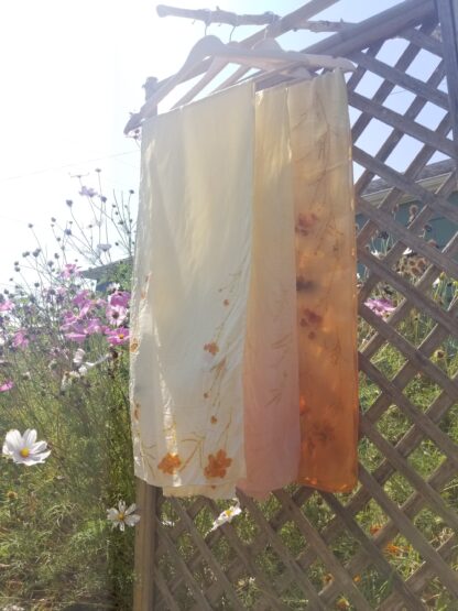 Natural Plant Dye Class - Image 14