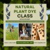 From Garden to Fabric: an Adventure in Natural Dyeing