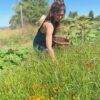 From Garden to Fabric: an Adventure in Natural Dyeing - Image 7