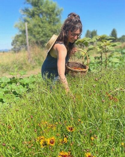 From Garden to Fabric: an Adventure in Natural Dyeing - Image 7
