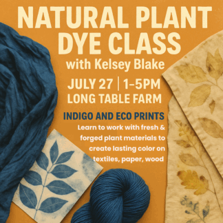 Natural Plant Dye Class