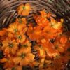 From Garden to Fabric: an Adventure in Natural Dyeing - Image 6
