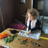 From Garden to Fabric: an Adventure in Natural Dyeing - Image 3